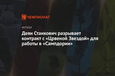 Николо Скир - Деян Станкович разрывает контракт с «Црвеной Звездой» для работы в «Сампдории» - championat.com