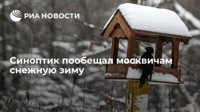 Евгений Тишковец - Синоптик Тишковец: в декабре норма по снегу в Москве будет перевыполнена на 20-30 процентов - ria.ru - Москва