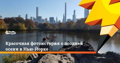 Красочная фотоистория о поздней осени в Нью-Йорке - ridus.ru - Нью-Йорк - Нью-Йорк