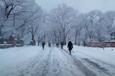 Мокрый снег атакует Украину, погода слетит с катушек: какой будет температура в регионах - politeka.net - Украина - Киев