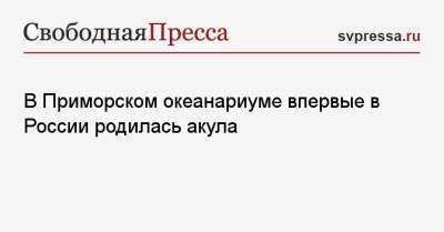 В Приморском океанариуме впервые в России родилась акула - svpressa.ru - Россия - Япония - Приморье край - Владивосток