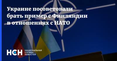 Вольфганг Ишингер - Украине посоветовали брать пример с Финляндии в отношениях с НАТО - nsn.fm - Москва - Украина - Финляндия