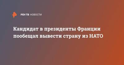 Эрик Земмур - Кандидат в президенты Франции пообещал вывести страну из НАТО - ren.tv - Франция - Париж