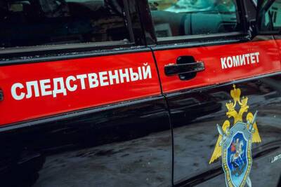 Пострадавшую от удара током в новосибирском троллейбусе вызвали в СК - novos.mk.ru - Новосибирск
