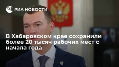 Михаил Дегтярев - В Хабаровском крае сохранили более 20 тысяч рабочих мест с начала 2021 года - smartmoney.one - Россия - Хабаровский край