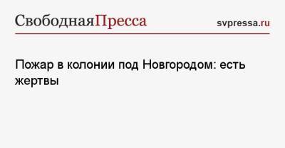 Пожар в колонии под Новгородом: есть жертвы - svpressa.ru - Красноярский край - Новгородская обл. - Индонезия - Валдай