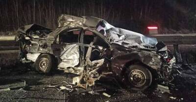 Алексей Белошицкий - На Житомирщине в аварии погибли отец с сыновьями, мама – в больнице - kp.ua - Украина - Киев