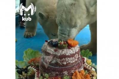 Медвежата из сафари-парка в Геленджике отметили первый день рождения - kuban.mk.ru - Россия - Геленджик - Кубани