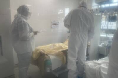 Реальное число заболевших ковидом раза в 4 больше официальных данных — Шаповалов - chita.ru
