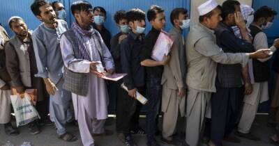 Чжао Лицзянь - Китай предоставит Афганистану гуманитарную помощь почти на $5 миллионов - dsnews.ua - Китай - Украина - Афганистан - Кабул