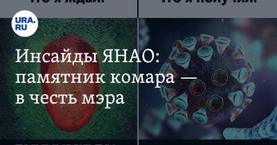 Инсайды ЯНАО: памятник комара — в честь мэра - ura.news - окр. Янао