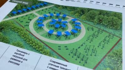 Пензенцы выступили против создания фитнес-парка на Западной Поляне - penzainform.ru - Строительство - Фитнес