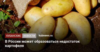 В России может образоваться недостаток картофеля - kubnews.ru - Россия