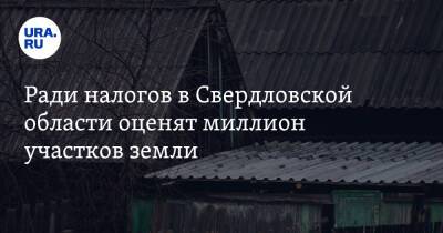 Ради налогов в Свердловской области оценят миллион участков земли - ura.news - Свердловская обл.