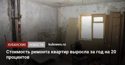Стоимость ремонта квартир выросла за год на 20 процентов - kubnews.ru - Москва - Санкт-Петербург