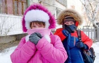 Сергей Воропанов - Мэр Вологды ответил, отменят ли занятия в школах из-за сильных морозов - vologda-poisk.ru - Вологда