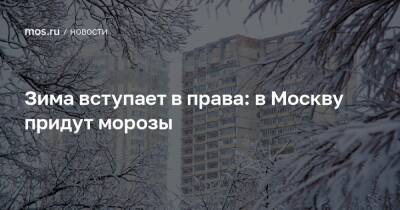 Зима вступает в права: в Москву придут морозы - mos.ru - Москва