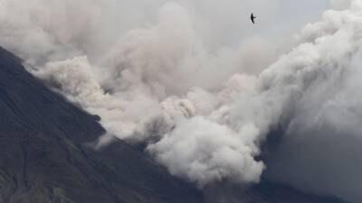 Число жертв вулкана в Индонезии продолжает расти и достигло 15 человек - 5-tv.ru - Индонезия