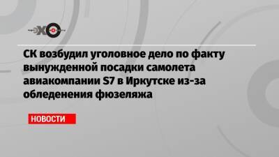 СК возбудил уголовное дело по факту вынужденной посадки самолета авиакомпании S7 в Иркутске из-за обледенения фюзеляжа - echo.msk.ru - Новосибирск - Иркутск - Магадан