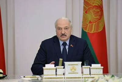 Александр Лукашенко - Лукашенко назвал число противников государства в Белоруссии - lenta.ru - Белоруссия
