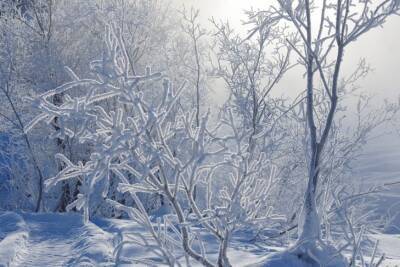 Вазир Мартазинов - На Рождество украинцев ждут 15-градусные морозы: прогноз - rupor.info - Украина
