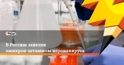 В Россию завезли омикрон-штаммом коронавируса - ridus.ru - Москва - Россия - Юар