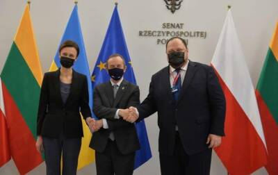 Руслан Стефанчук - В Варшаве проходит саммит глав парламентов Украины, Польши и Литвы - korrespondent.net - Россия - Украина - Польша - Литва - Вильнюс - Варшава