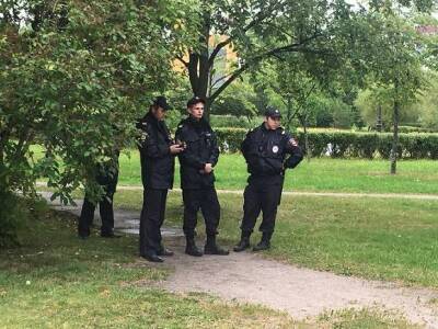 Площадь парка Малиновка в Петербурге увеличат на два гектара - rosbalt.ru - Санкт-Петербург