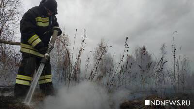 Жители Тюмени жалуются на смог от торфяника - newdaynews.ru - Тюмень - Тюменская обл. - Свердловская обл. - Боровский