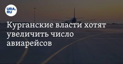 Вадим Шумков - Виталий Савельев - Курганские власти хотят увеличить число авиарейсов - ura.news - Москва - Курганская обл. - Курган