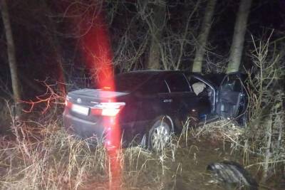 В Моршанске водитель иномарки врезался в дерево: пострадали два человека - tambov.mk.ru - Моршанск