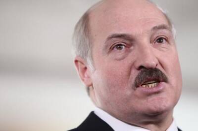 Александр Лукашенко - Лукашенко призвал нанимать в госструктуры «патриотичных и крепких людей со стержнем», а не «размазню» - argumenti.ru - Белоруссия