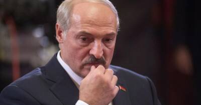 Александр Лукашенко - Месть Лукашенко: Беларусь запретила ввоз товаров из ЕС, США и Британии - dsnews.ua - США - Украина - Англия - Белоруссия