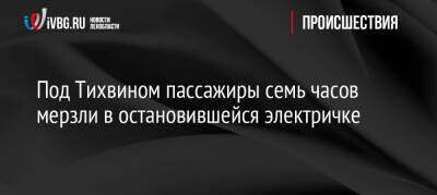 Под Тихвином пассажиры семь часов мерзли в остановившейся электричке - ivbg.ru - Украина - Ленинградская обл. - район Тихвинский