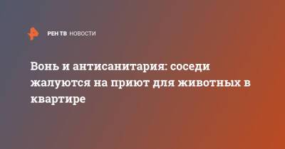 Вонь и антисанитария: соседи жалуются на приют для животных в квартире - ren.tv - Санкт-Петербург