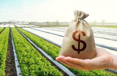 Названы страны ЕС с самой дорогой сельхозземлей - agroportal.ua - Украина - Хорватия - Голландия - Ирландия