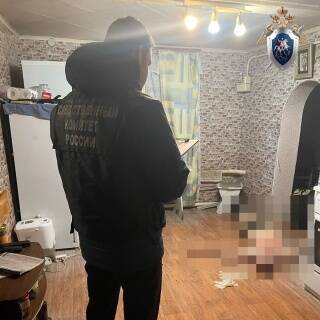 Жительница Сергача подозревается в убийстве сожителя - vgoroden.ru - Нижегородская обл. - Следственный Комитет