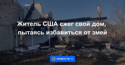 Житель США сжег свой дом, пытаясь избавиться от змей - news.mail.ru - USA - шт. Мэриленд