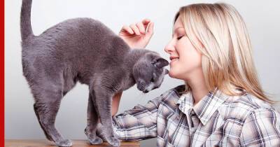 Реальная любовь: 10 признаков того, что кошка любит хозяина - profile.ru