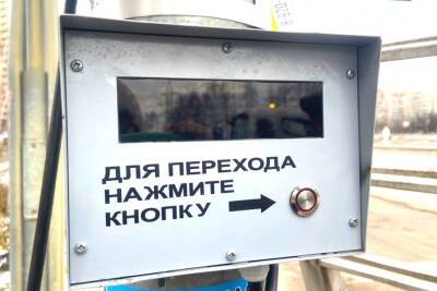 Новые светофоры вызывного типа установили на липецких улицах - lipetskmedia.ru - Липецк