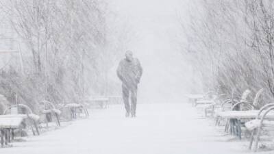 Евгений Тишковец - Роман Вильфанд - Москвичам пообещали рекордный снегопад и полную аномалий зиму - 5-tv.ru - Москва - Россия