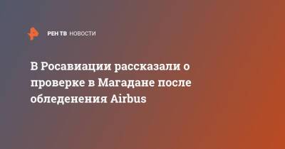 В Росавиации рассказали о проверке в Магадане после обледенения Airbus - ren.tv - Новосибирск - Иркутск - Магадан