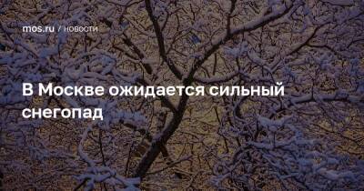 В Москве ожидается сильный снегопад - mos.ru - Москва