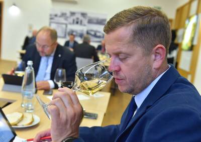 Названо лучшее вино Чехии - vinegret.cz - Чехия