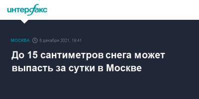 Петр Бирюков - До 15 сантиметров снега может выпасть за сутки в Москве - interfax.ru - Москва