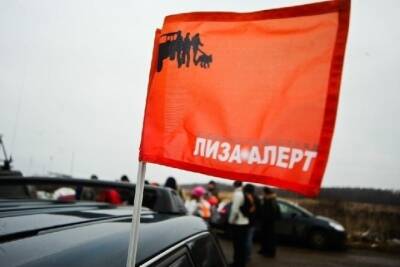 Более 200 заявок о потерявшихся петербуржцах получили спасатели за ноябрь - spb.mk.ru - Ленинградская обл. - Санкт-Петербург