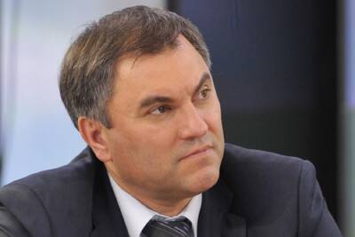 Вячеслав Володин - Пост Володина о QR-кодах набрал миллион просмотров - mk.ru - Россия