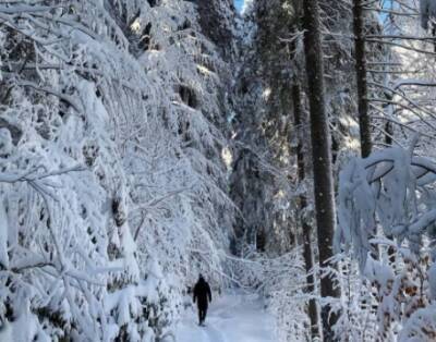 Карпаты засыпало снегом: красочные фото гор и озера - enovosty.com - Украина