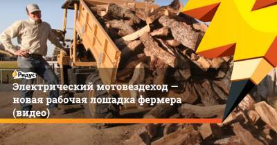 Электрический мотовездеход— новая рабочая лошадка фермера (видео) - ridus.ru - state Texas - шт. Калифорния