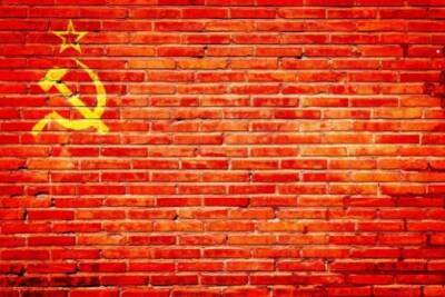 Россияне с трудом смогли расшифровать аббревиатуру СССР - versia.ru - Россия